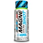Amix Magneshot Forte Natural 20 x 60 ml – Hledejceny.cz