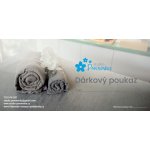 Masáž zad a šíje - poukaz na filipínskou terapeutickou masáž Délka: 30 min., Grafika: Klasická – Hledejceny.cz