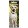 Kalendář Yellow Labrador Retriever Gelbe Labradore 2024