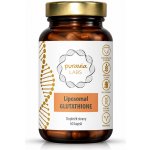 Puravia LABS Liposomální glutathion 60 kapslí – Hledejceny.cz