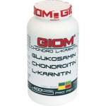 GIOM ERA Chondro L-karnitin 400 g – Hledejceny.cz