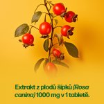 Walmark Beta Glukan 200 mg 60 tablet – Hledejceny.cz