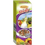 Avicentra Sticks tyčinky ovocné ořechové pro malé papoušky 110 g – Zboží Dáma