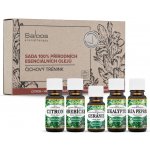 Saloos sada esenciálních olejů Čichový trénink 1 x ml + 4 x 10 ml – Zboží Dáma