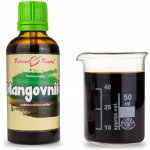 Bylinné kapky Mangovník tinktura 50 ml – Hledejceny.cz