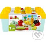 LEGO® DUPLO® 10984 Bio zahrádka – Zboží Živě