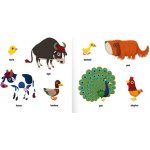 Kde jsi? Kdo jsi? Zvířata na farmě – Zboží Dáma