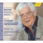 Bach, J. S. - Johannes - Passion - Highlig – Hledejceny.cz