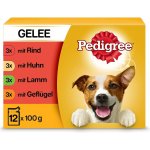 Pedigree Vital Protection mix 12 x 100 g – Hledejceny.cz