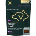 VetriScience Renal Essentials Canine 312 g – Hledejceny.cz