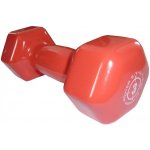 Power System VINYL DUMBELL 3 kg – Zboží Dáma