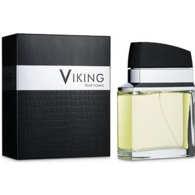 Flavia Viking parfémovaná voda pánská 100 ml