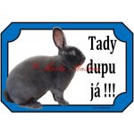 Cedulka králík rex modrý - Se samolepicí vrstvou – Hledejceny.cz
