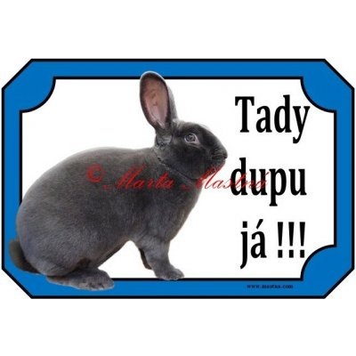Cedulka králík rex modrý - Se samolepicí vrstvou – Hledejceny.cz