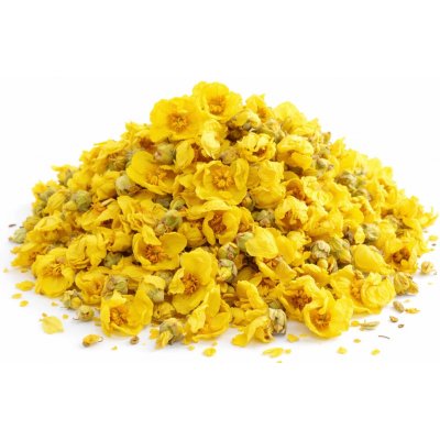 QuickTea Divizna květ celý 1000 g – Zboží Dáma