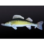 Gaby polštář ryba Candát obecný giant 105 cm – Zboží Dáma