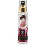 Shunga Gentle Toy Cleaner 115ml – Zboží Mobilmania