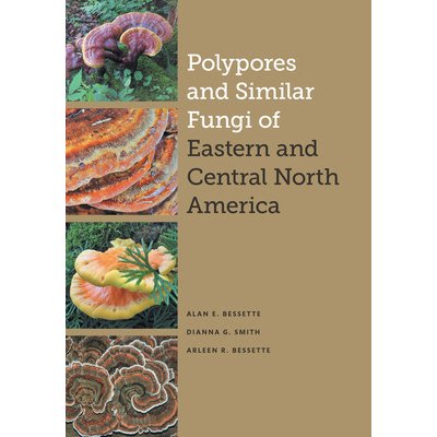 Polypores and Similar Fungi of Eastern and Central North America Bessette Alan E.Pevná vazba – Zboží Mobilmania