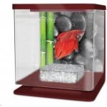Cat-Gato Betarium Betta kit stones 2 l – Zboží Dáma