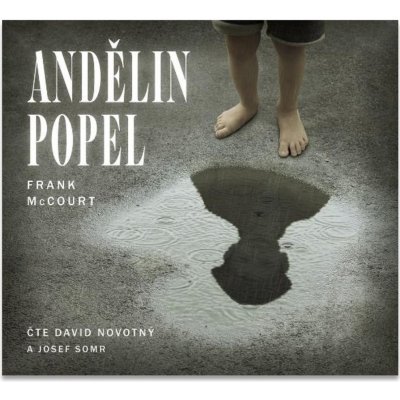 Andělin popel - Frank McCourt – Sleviste.cz