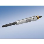 BOSCH 0 250 202 020 Zhavici svicka (0250202020)