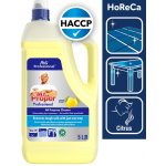 Mr. Proper Profesionál univerzální citronový čistič Lemon 5 l – Hledejceny.cz