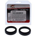 ALL BALLS gufera vidlice APRILIA RSV4, TUONO, DUCATI 1098, 1198, MONSTER 1100, S4R, MULTIstrada 1100/1200, PANIGALE – Hledejceny.cz