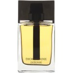 Christian Dior Intense 2011 parfémovaná voda pánská 100 ml – Zboží Mobilmania