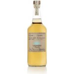 Casamigos Reposado 40% 0,7 l (holá láhev) – Zboží Dáma