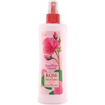 BioFresh přírodní růžová voda ve spreji 230 ml – Zboží Dáma BioFresh přírodní růžová voda ve spreji 230 ml – Zboží Dáma
