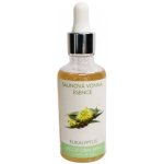 CF Group saunová esence eukalyptus 500 ml – Hledejceny.cz