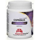 Coprinus Comatus extrakt z hnojníku obecného 90 kapslí