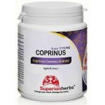 Coprinus Comatus extrakt z hnojníku obecného 90 kapslí – Hledejceny.cz