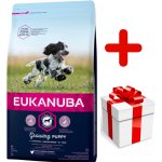 Eukanuba Puppy & Junior Medium Breed 15 kg – Hledejceny.cz