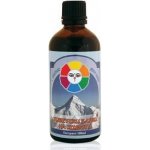 Bioherba Přírodní tinktura tibetské kapky života s mumiem 100 ml – Hledejceny.cz