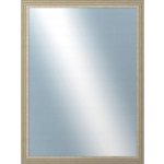 DANTIK LYON 60x80 cm stříbrná – Hledejceny.cz