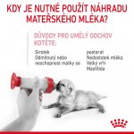 Royal Canin BabyCat milk 0,3 kg – Sleviste.cz