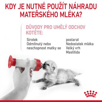 Royal Canin BabyCat milk 0,3 kg