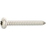 DIN7981C 2.9X 32 Torx 8 vrut do plechu, čočková hlava, nerez A4 (1000 ks) – Hledejceny.cz