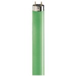 Philips MASTER Massive TL-D 36W 17 G13 barevná lineární zářivka – Zboží Živě
