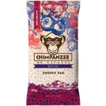 Chimpanzee Energy Bar gluten free 55 g – Hledejceny.cz