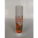 BC Bione cosmetics Pomády na rty RAKYTNÍK 17 ml – Hledejceny.cz