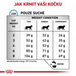 Royal Canin Veterinary Health Nutrition Cat Anallergenic 2 kg – Sleviste.cz