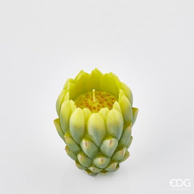 EDG Ve tvaru exotické květiny zeleno-žlutá 9 x 8 cm