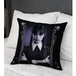 Jerry Fabrics polštář Wednesday Color 40x40 – Zboží Mobilmania