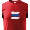 Dětské tričko Canvas dětské tričko Turistická značka modrá, červená 2079
