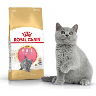 Royal Canin British Shorthair Kitten Kotě Drůbež Rýže Zeleninová 2 kg – Zboží Mobilmania