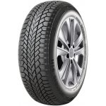 Giti Winter W1 195/65 R15 91T – Hledejceny.cz