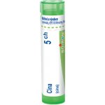CHINA POR 5CH GRA 1X4G – Hledejceny.cz