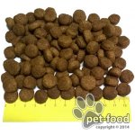 Red Dingo obojek Cosmos – Hledejceny.cz